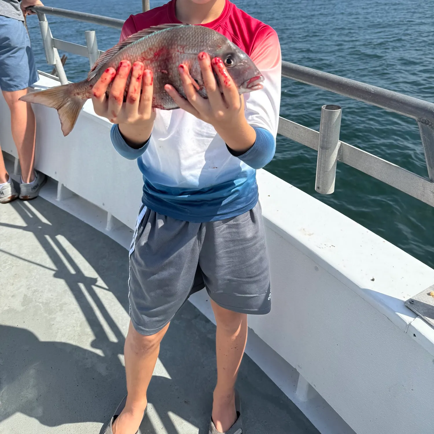 The most recent Silver porgy catches on Fishbrain