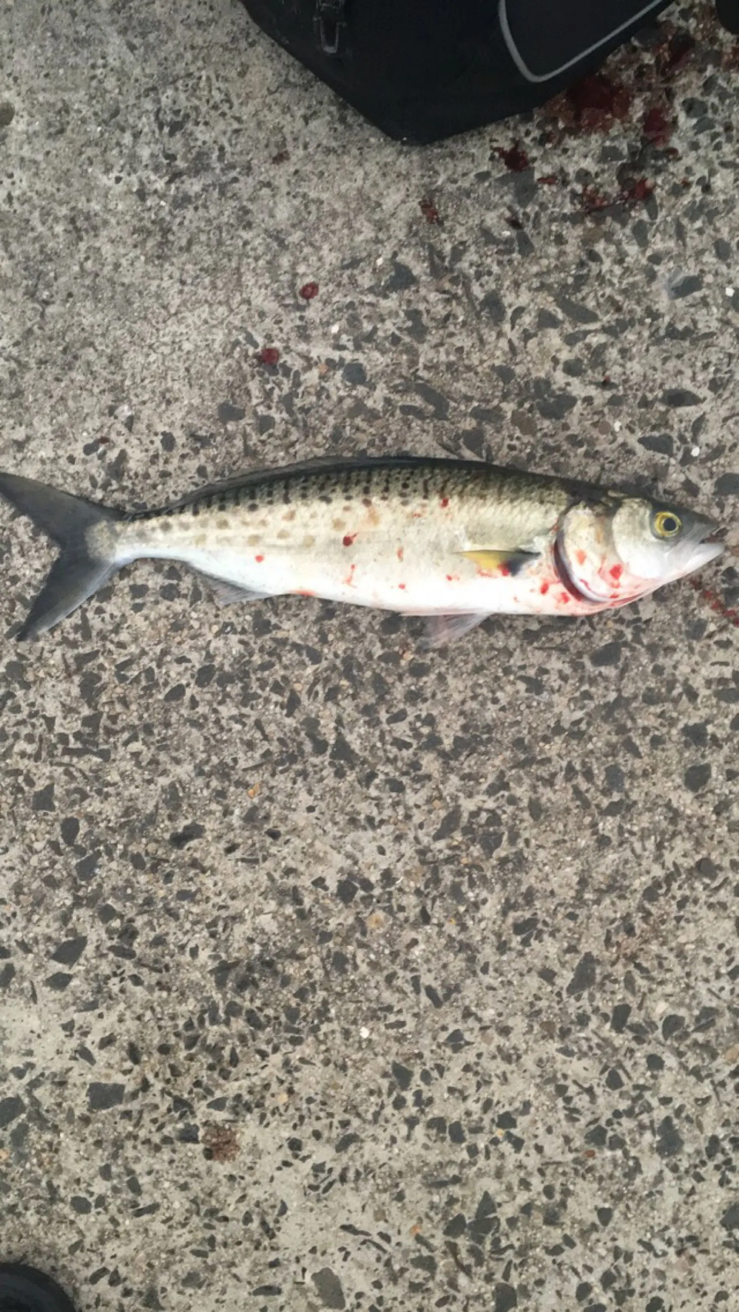 Post image from toliver2813