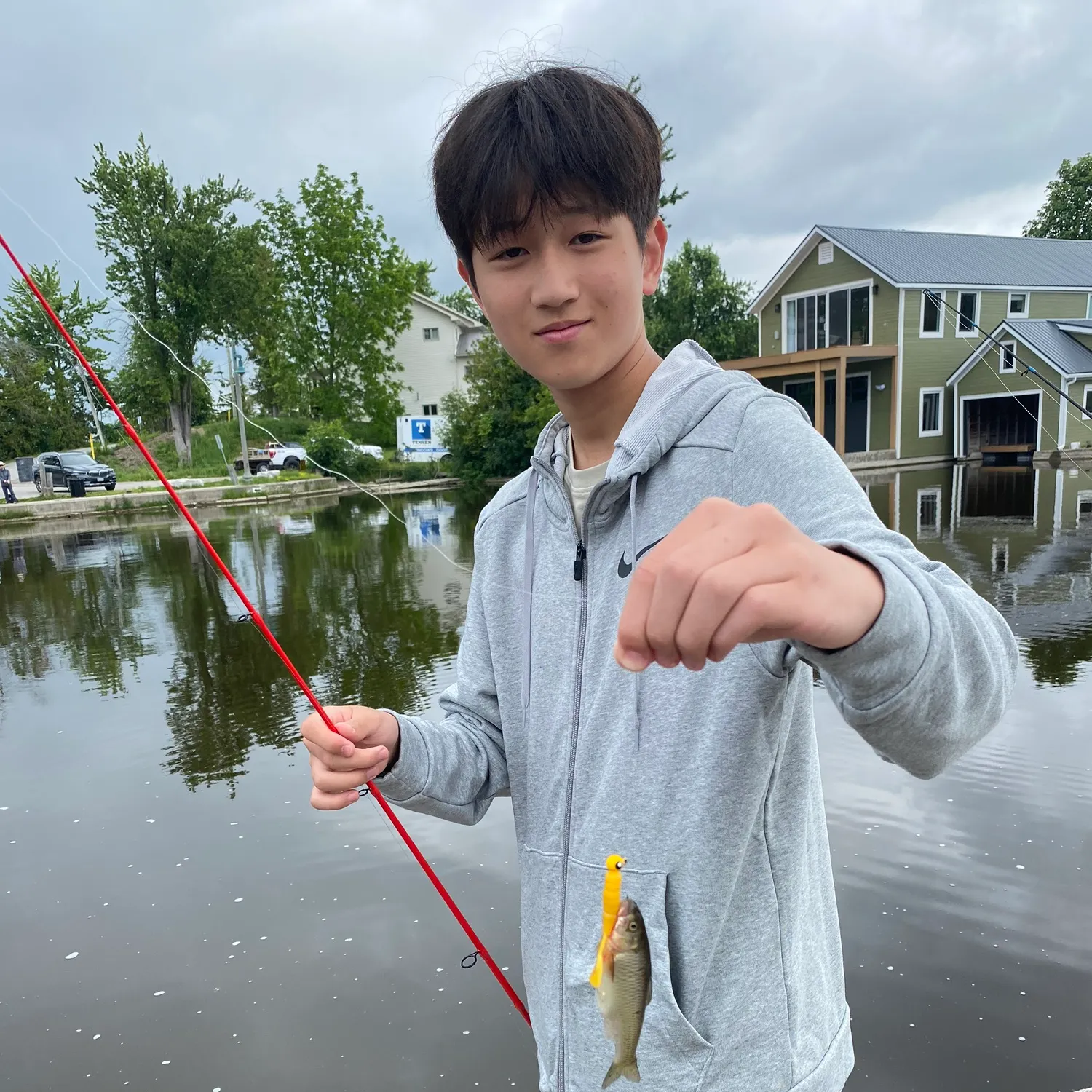 The most recent Common shiner catches on Fishbrain