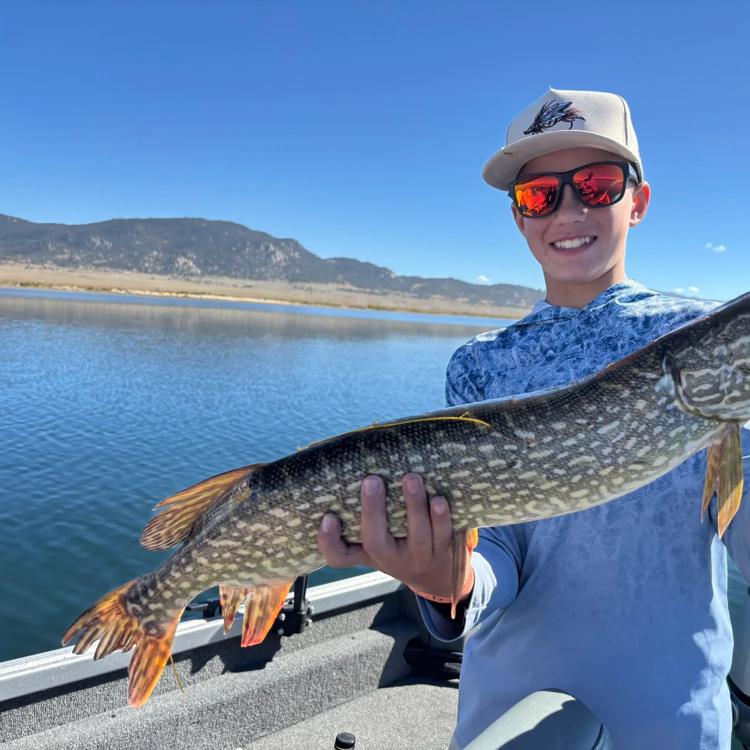 Northern pike caught on Fishbrain