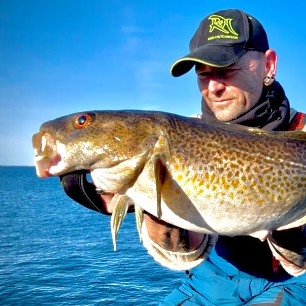 The most recent Atlantic cod catches on Fishbrain