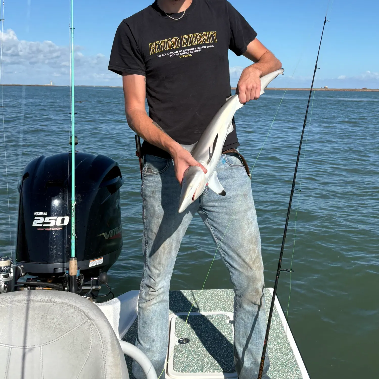 The most recent Spinner shark catches on Fishbrain