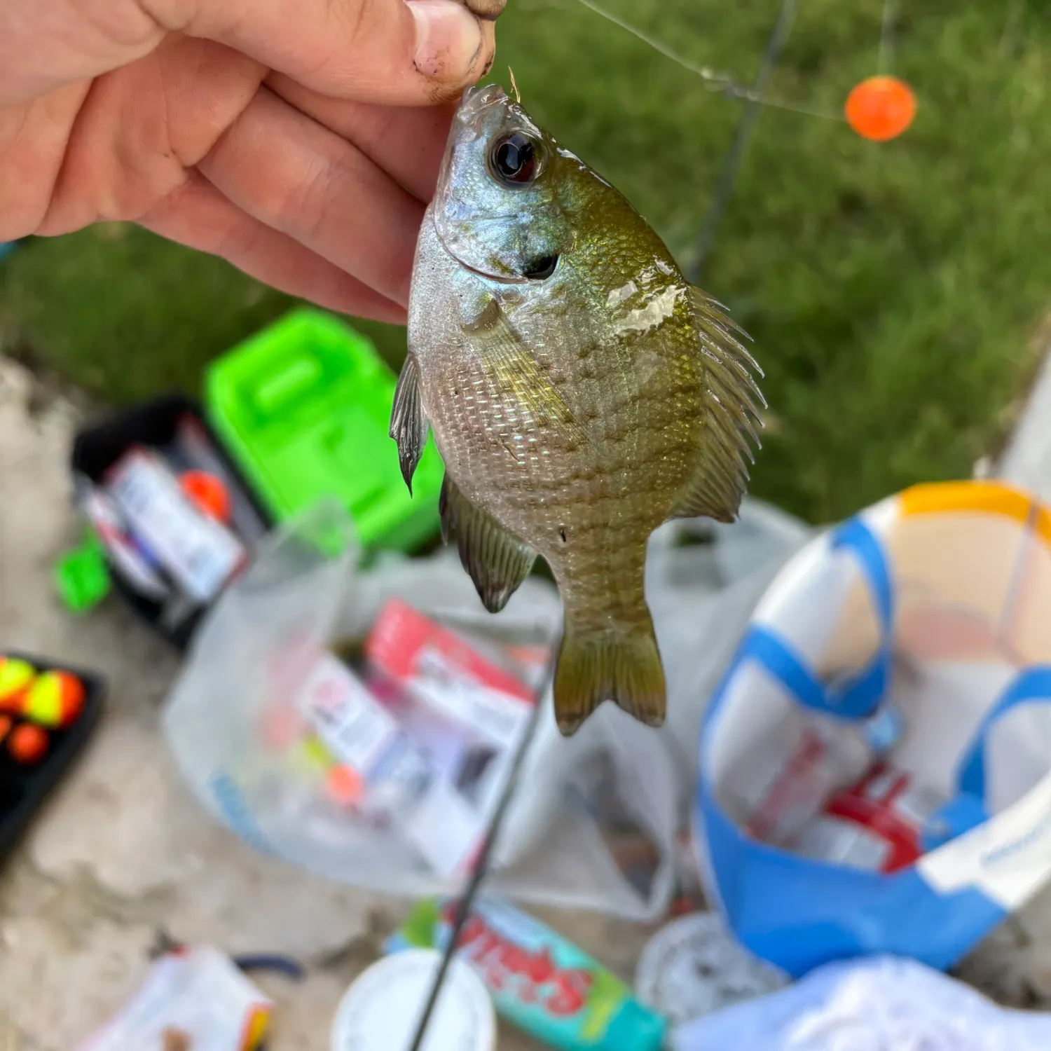 catch