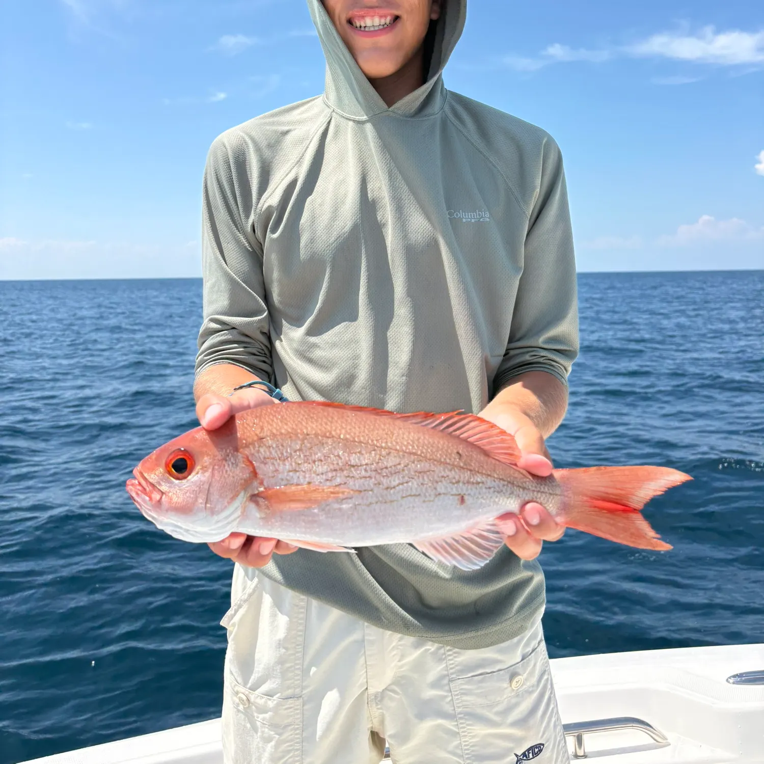 The most recent Vermilion snapper catches on Fishbrain