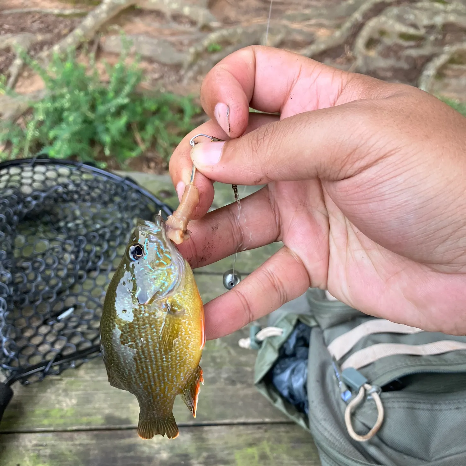 catch