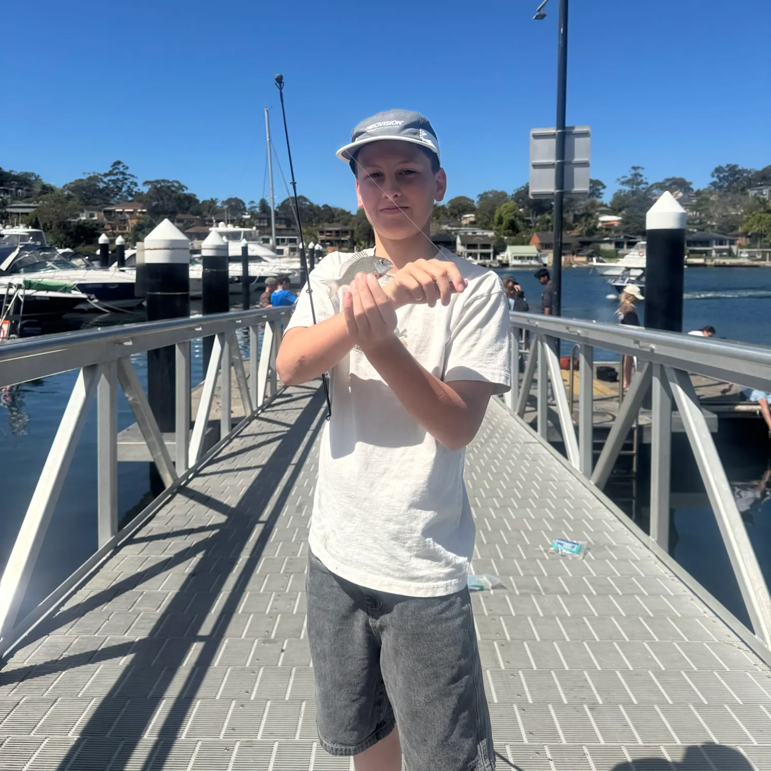 Surf bream caught on Fishbrain
