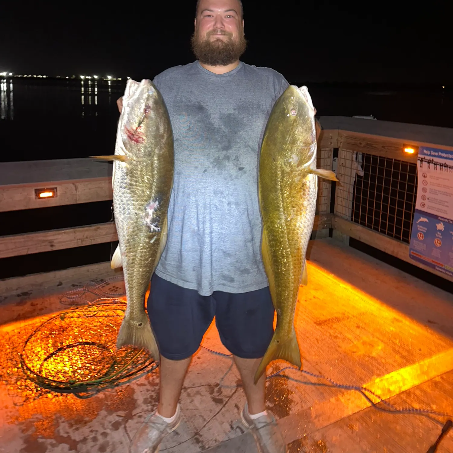 Red drum caught on Fishbrain