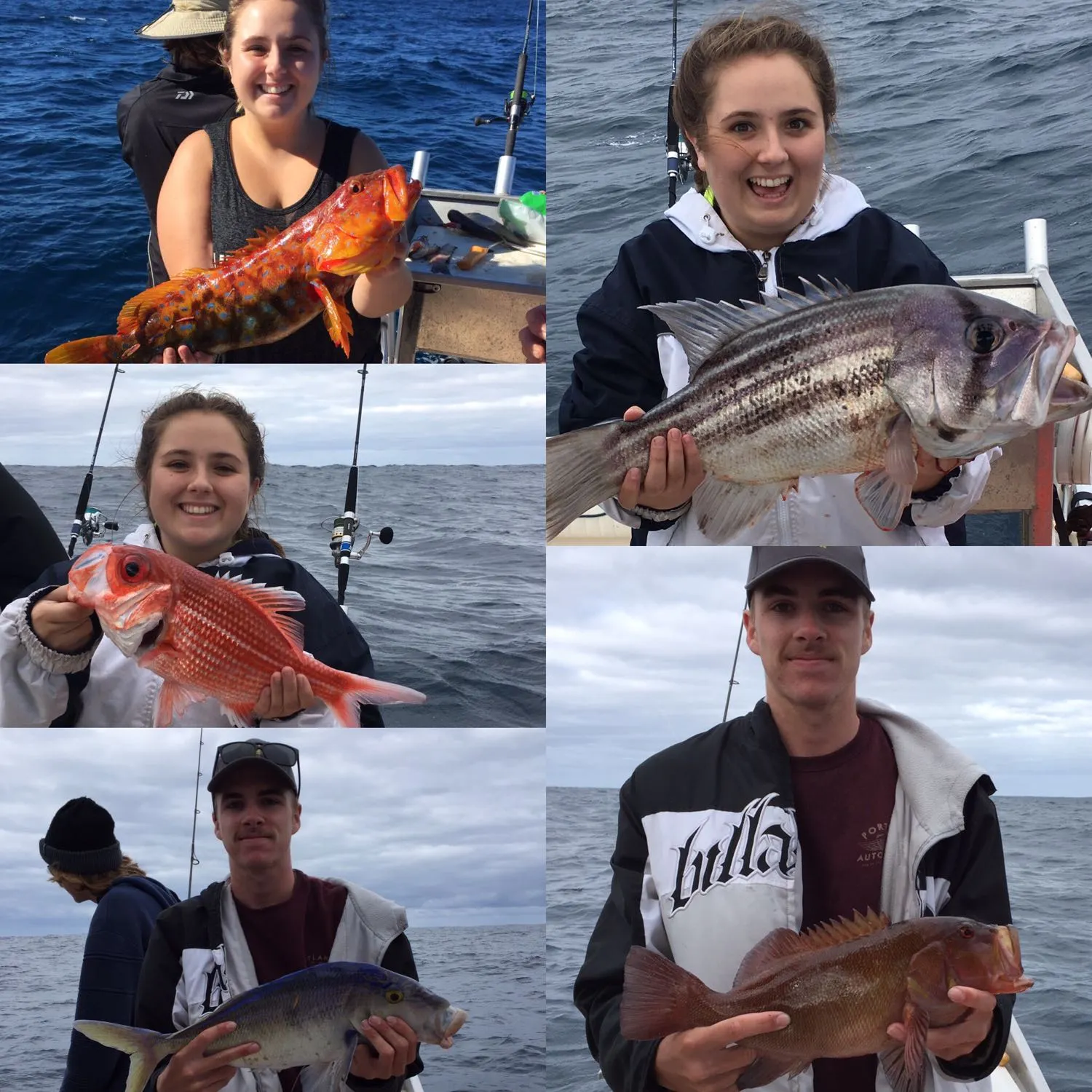 recently logged catches