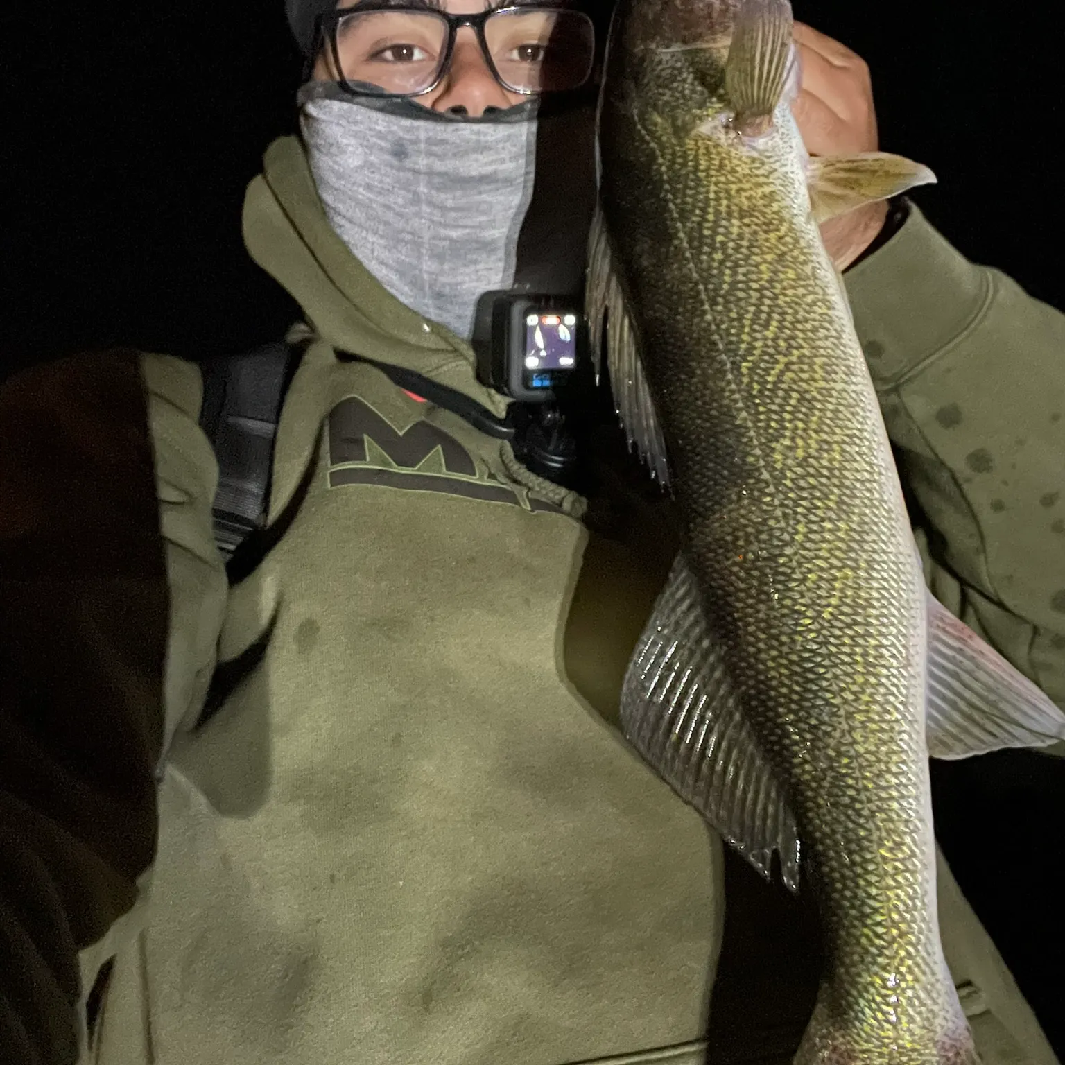 The most recent Walleye catches on Fishbrain