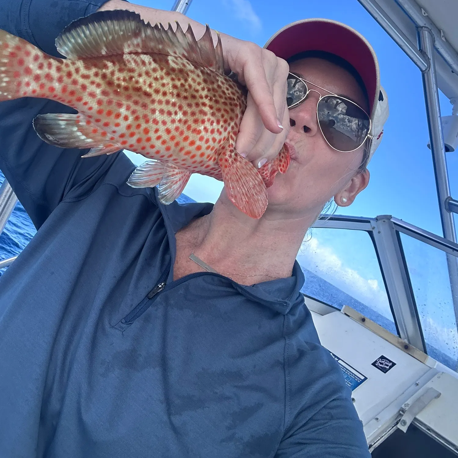 The most recent Speckled hind catches on Fishbrain