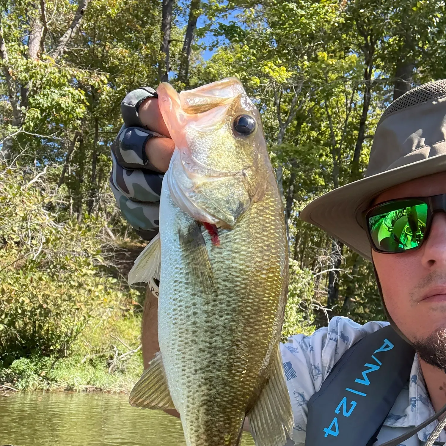Largemouth bass caught on Fishbrain