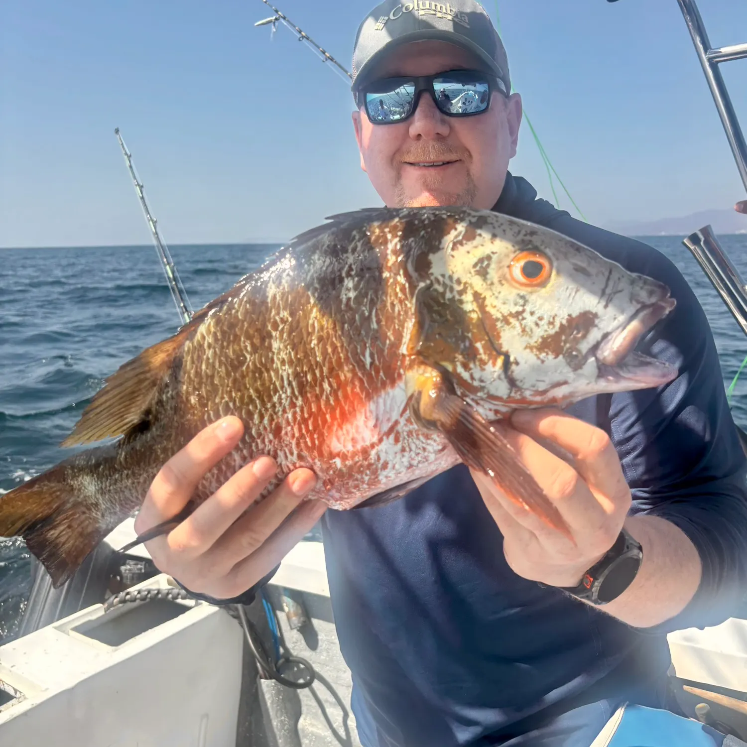 The most recent Humpback red snapper catches on Fishbrain