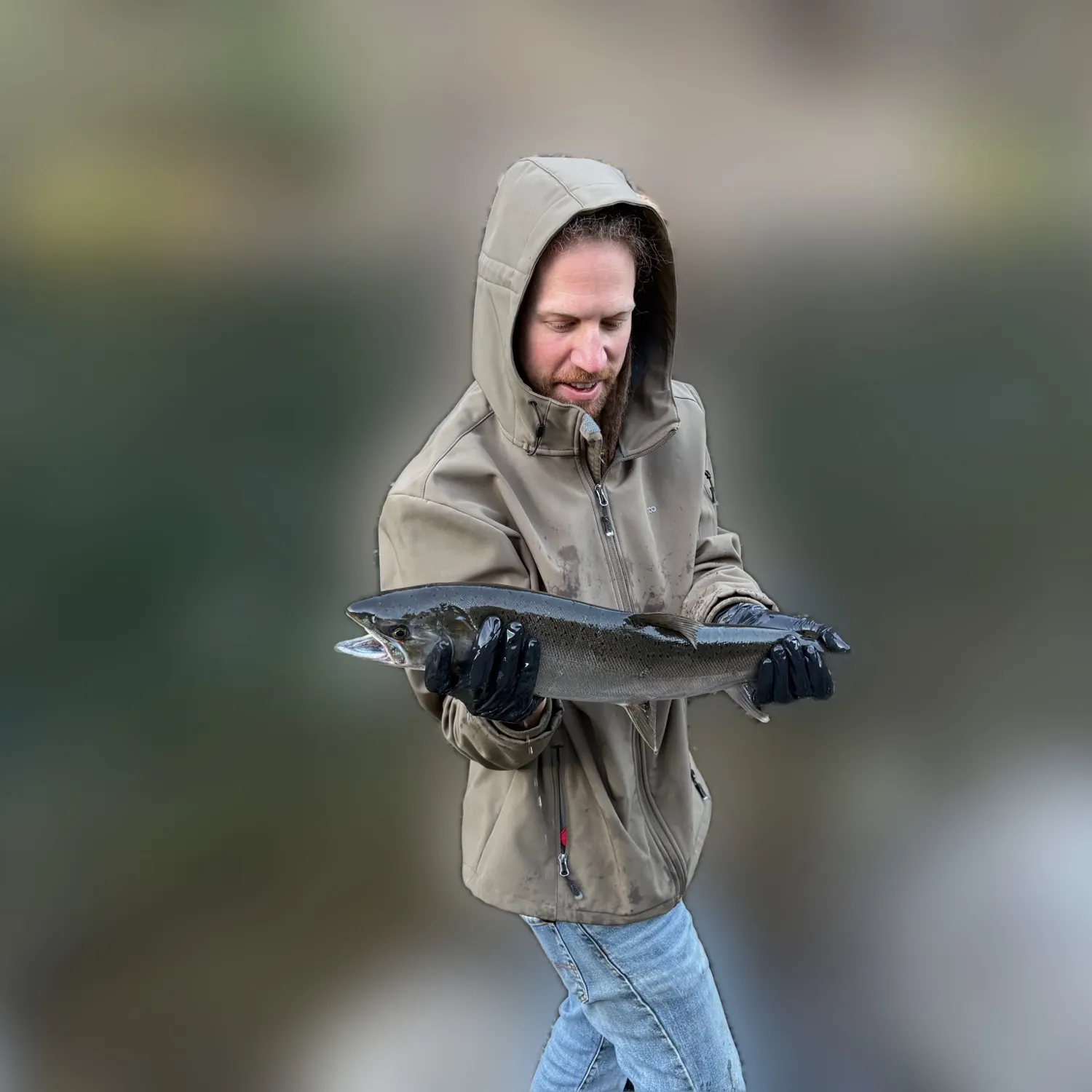 Coho salmon caught on Fishbrain