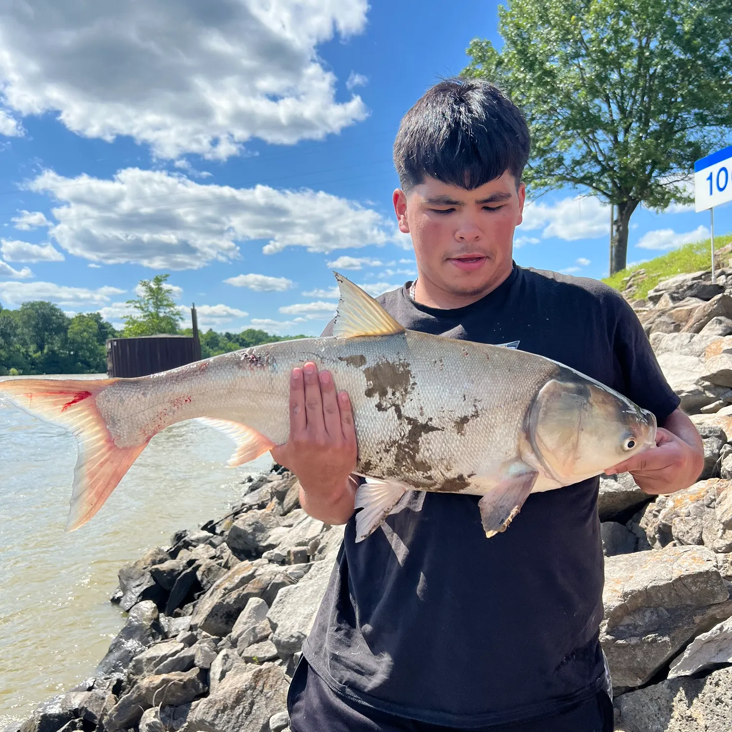 The most popular recent Silver carp catch on Fishbrain