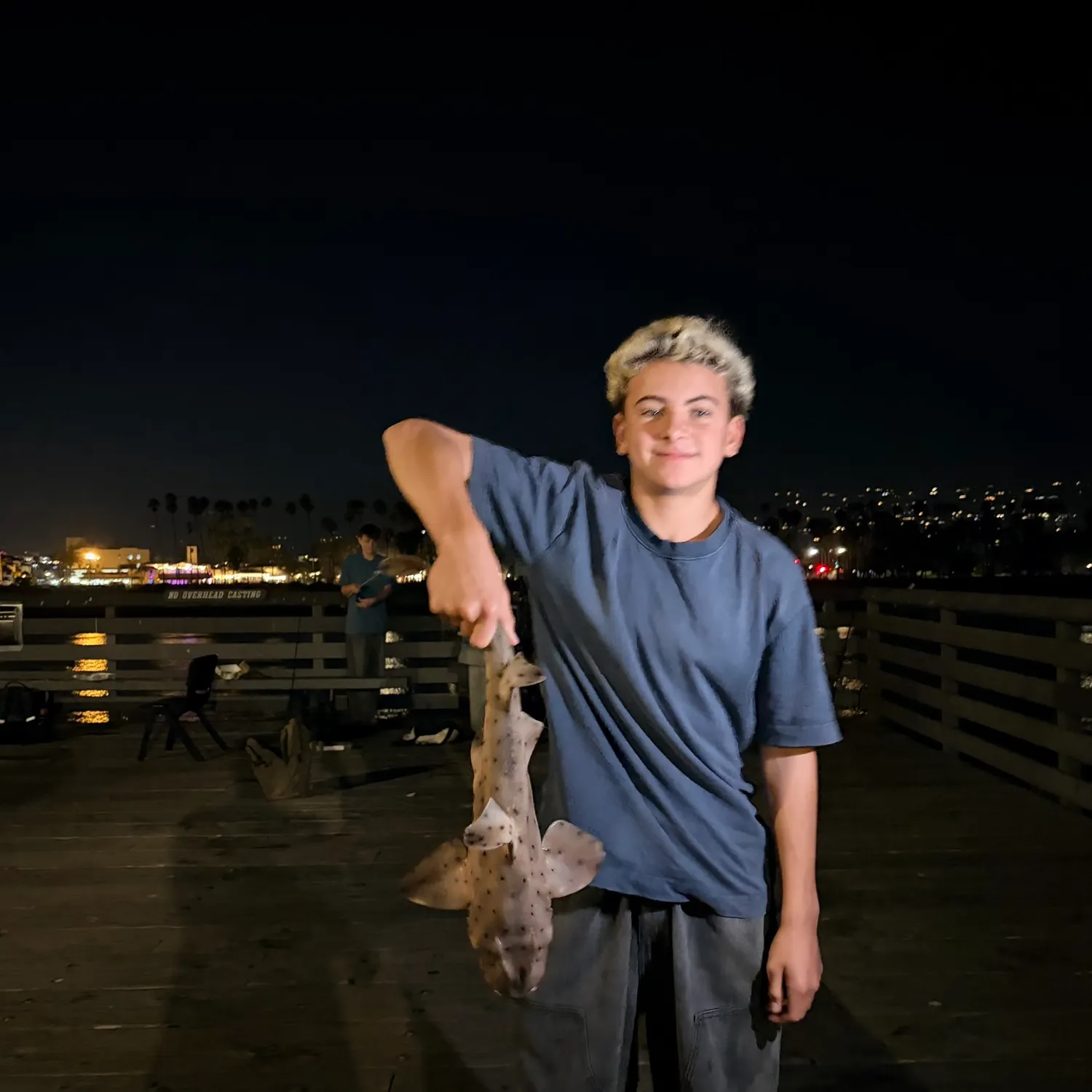 Horn shark caught on Fishbrain