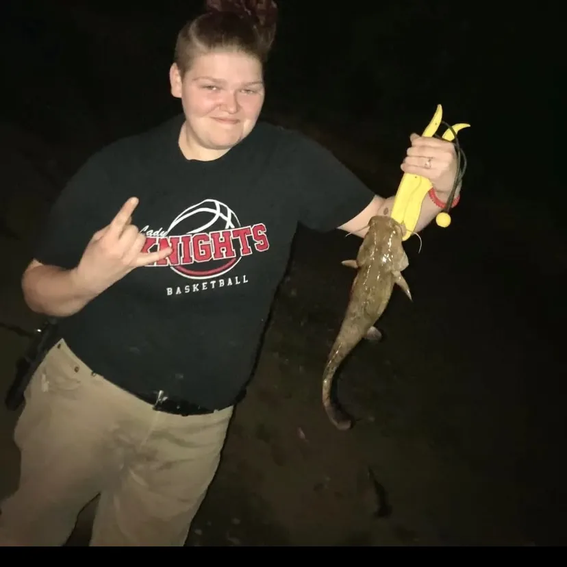 The most recent Flathead catfish catches on Fishbrain