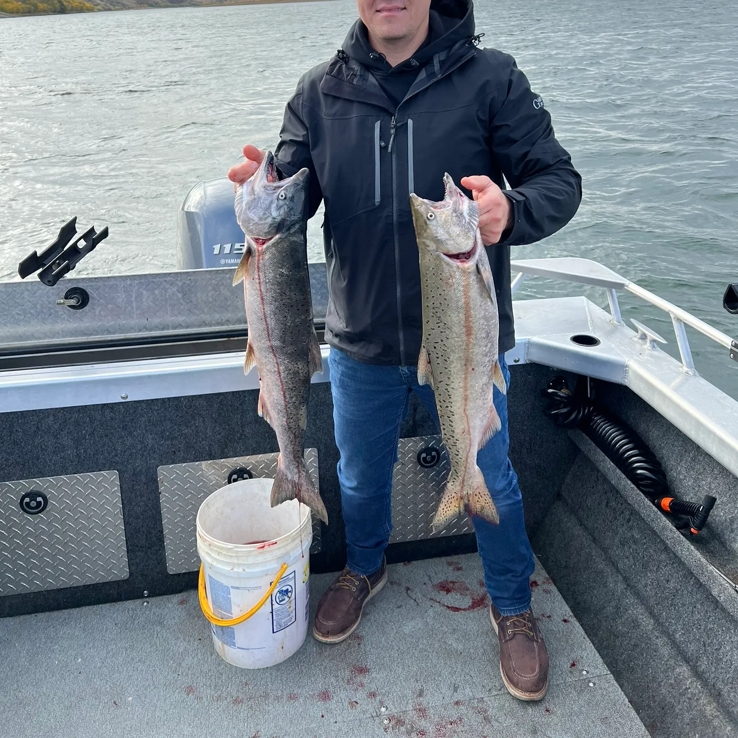 The most recent Pink salmon catches on Fishbrain