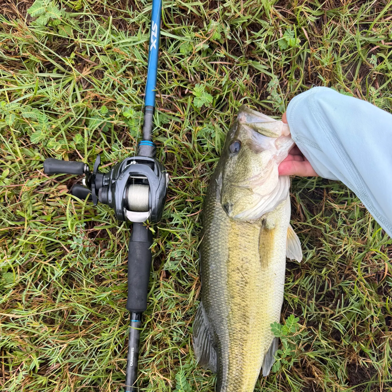Largemouth bass caught on Fishbrain