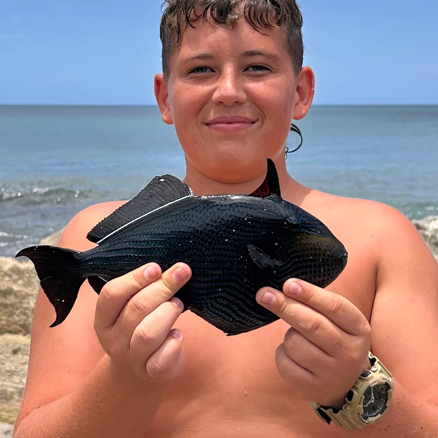 The most recent Indian triggerfish catches on Fishbrain