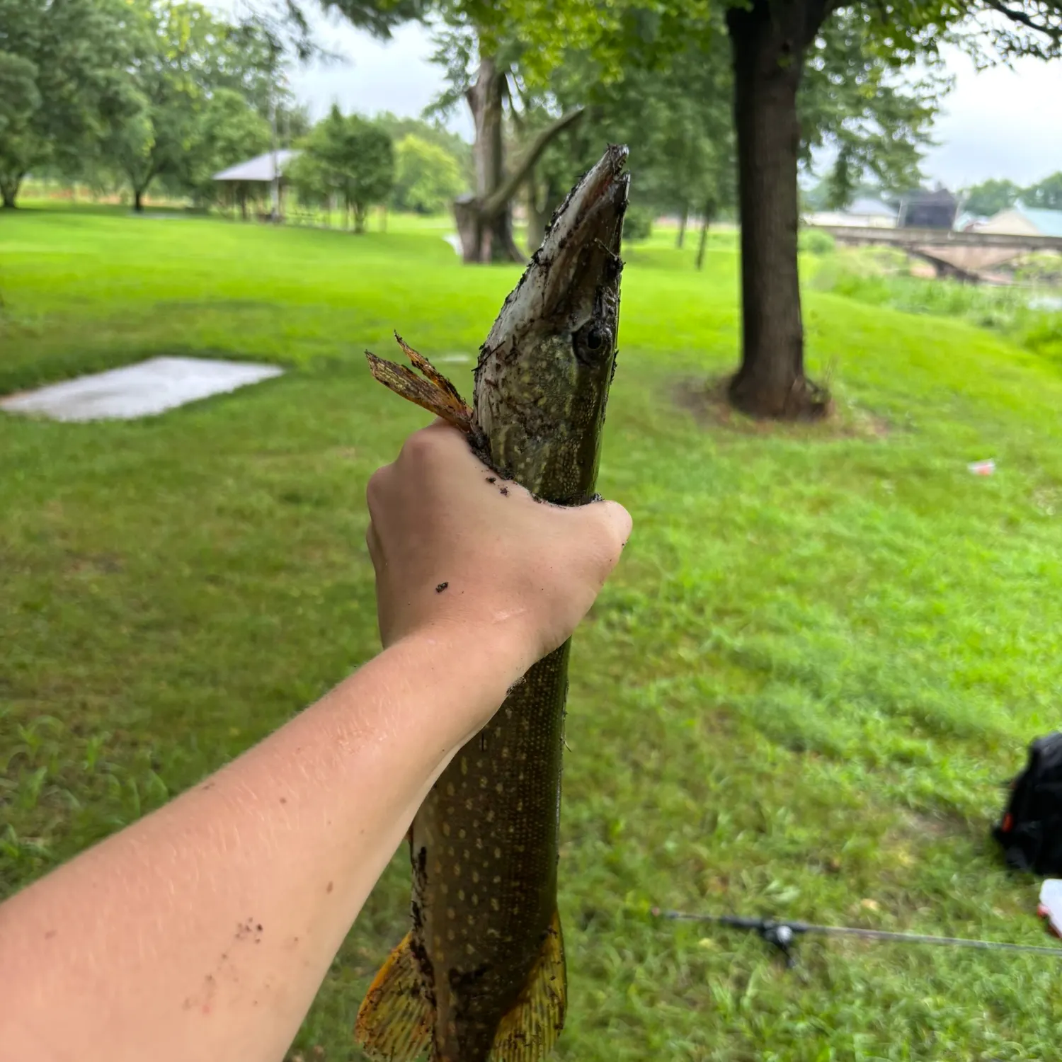 catch