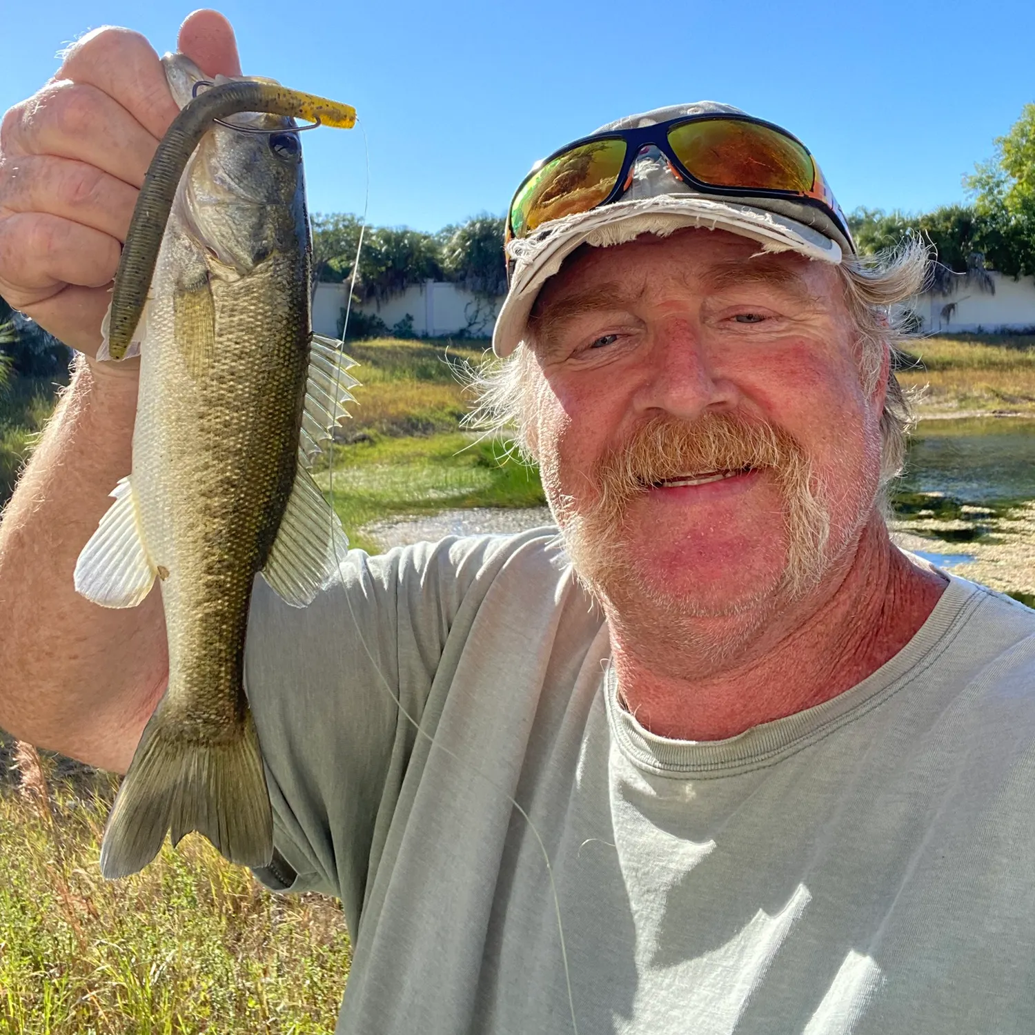 Largemouth bass caught on Fishbrain