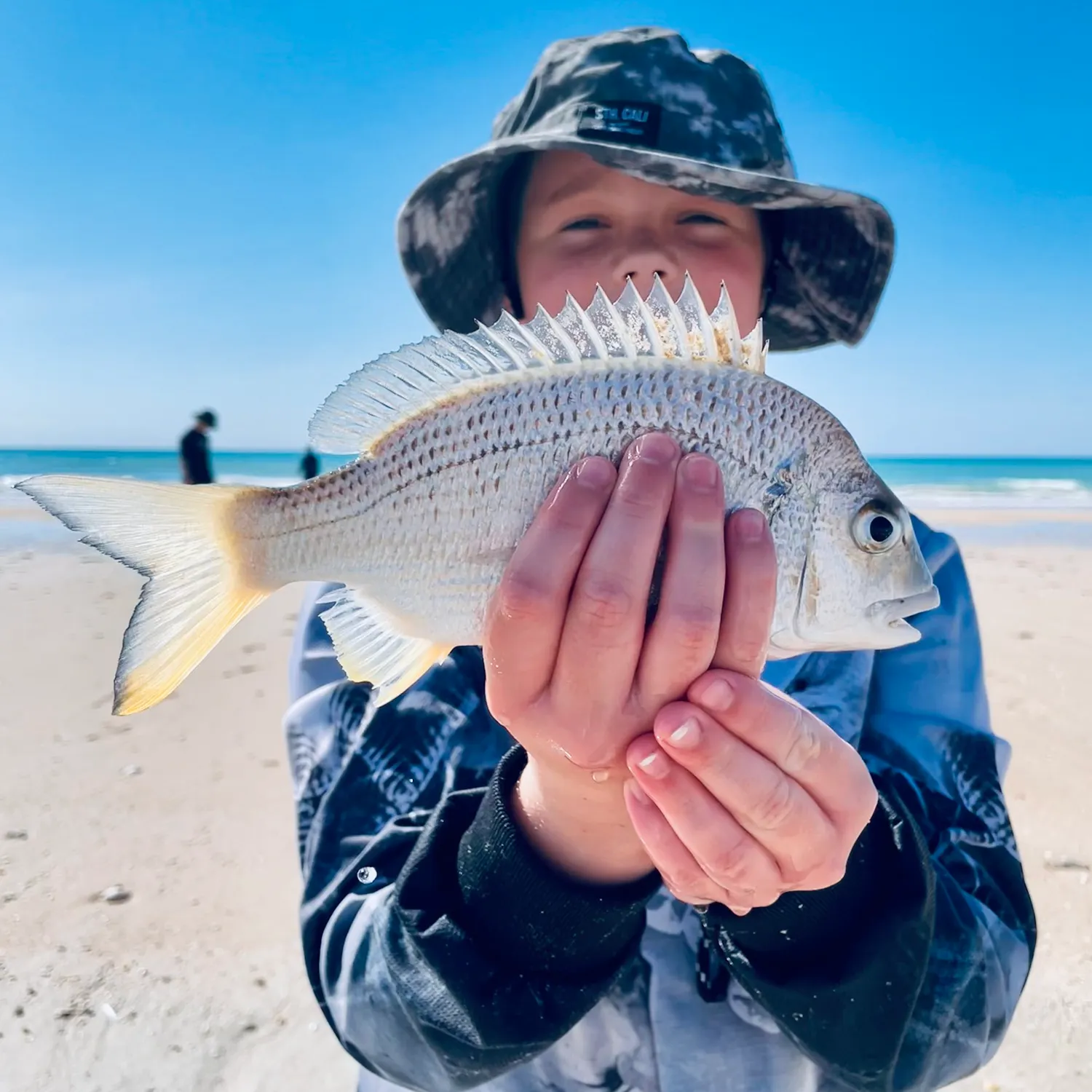 The most recent Surf bream catches on Fishbrain