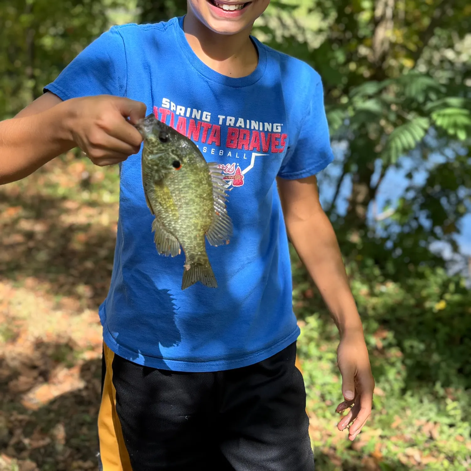 Redear sunfish caught on Fishbrain