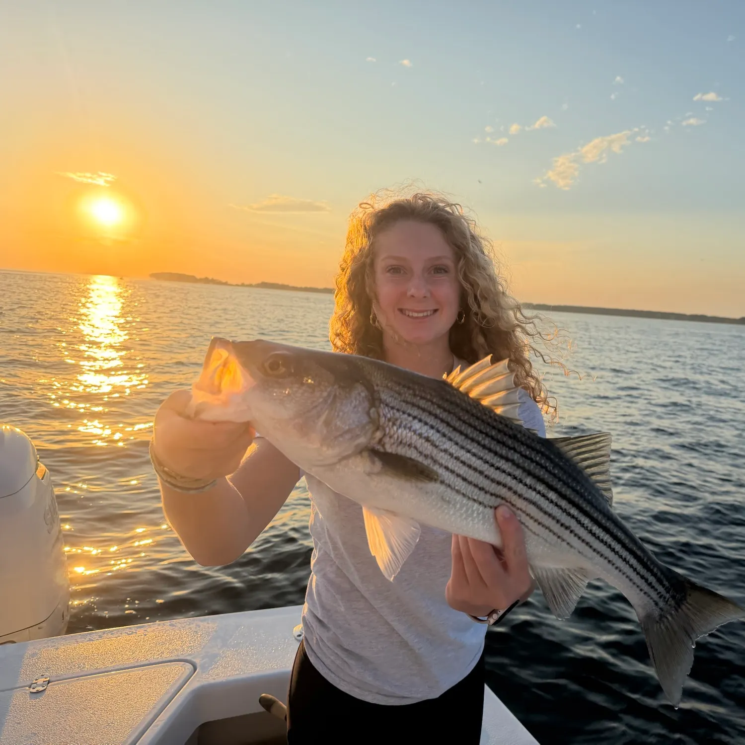 Striped bass caught on Fishbrain