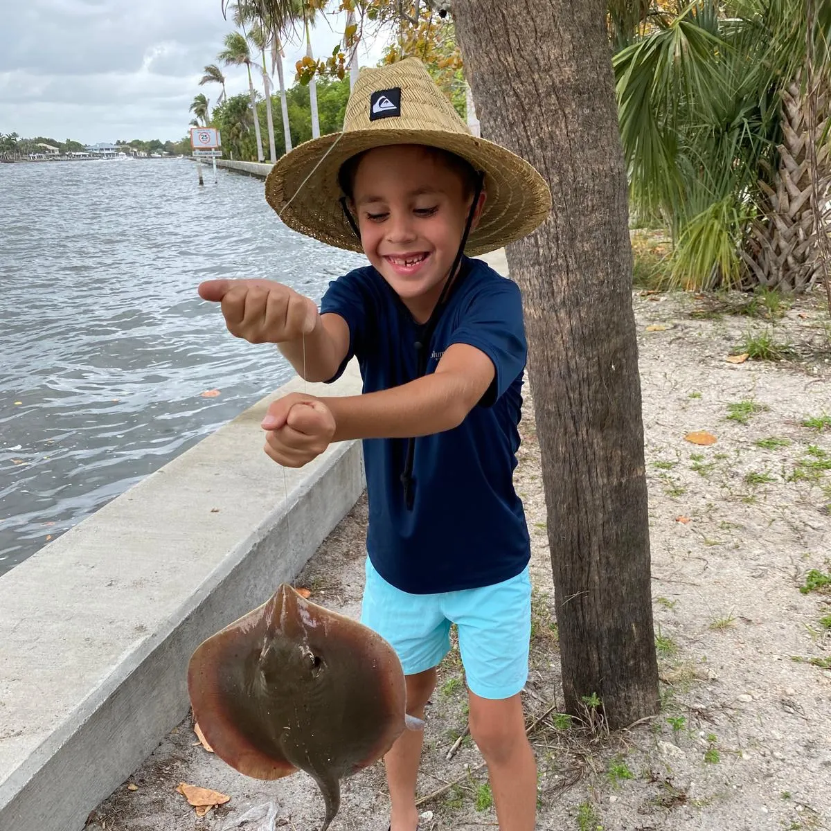 The most recent Atlantic stingray catches on Fishbrain