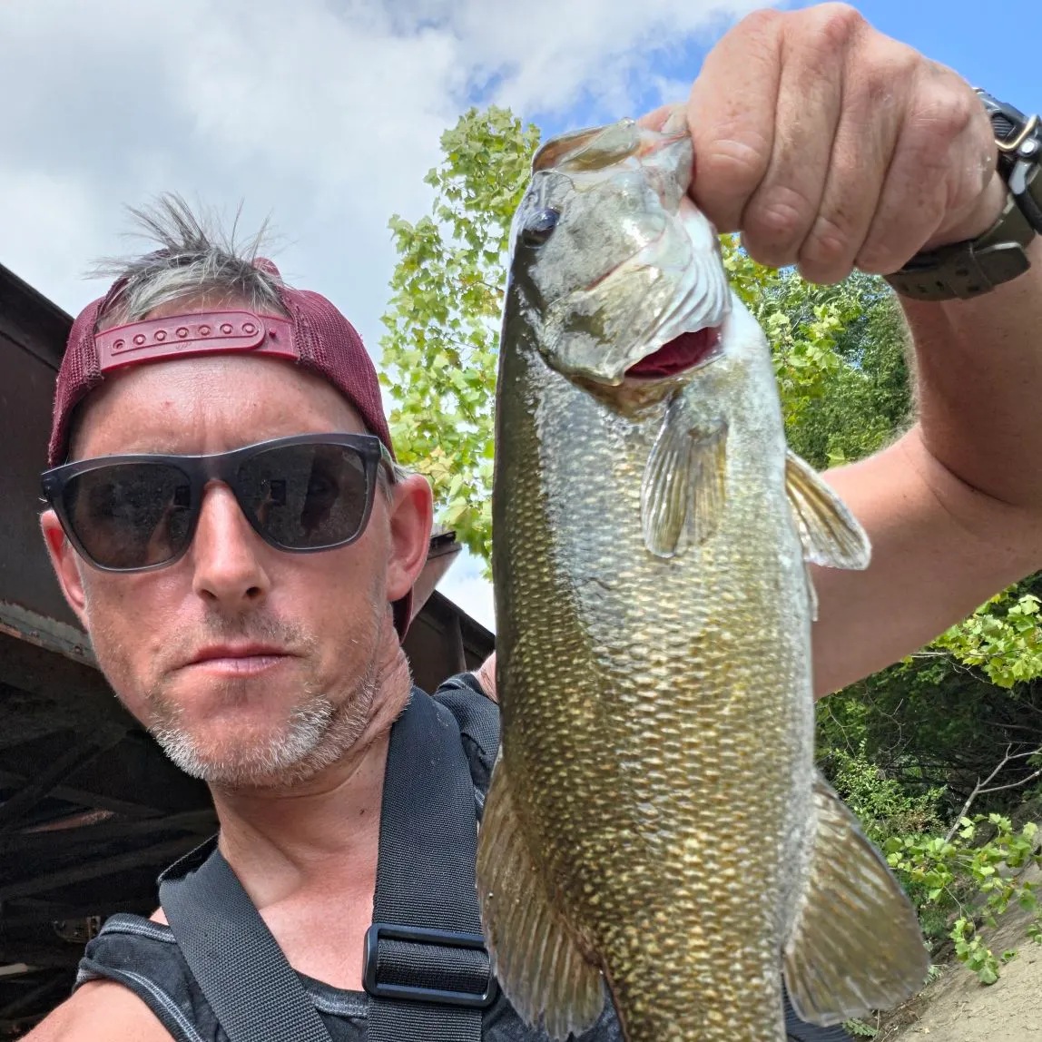 Smallmouth bass caught on Fishbrain