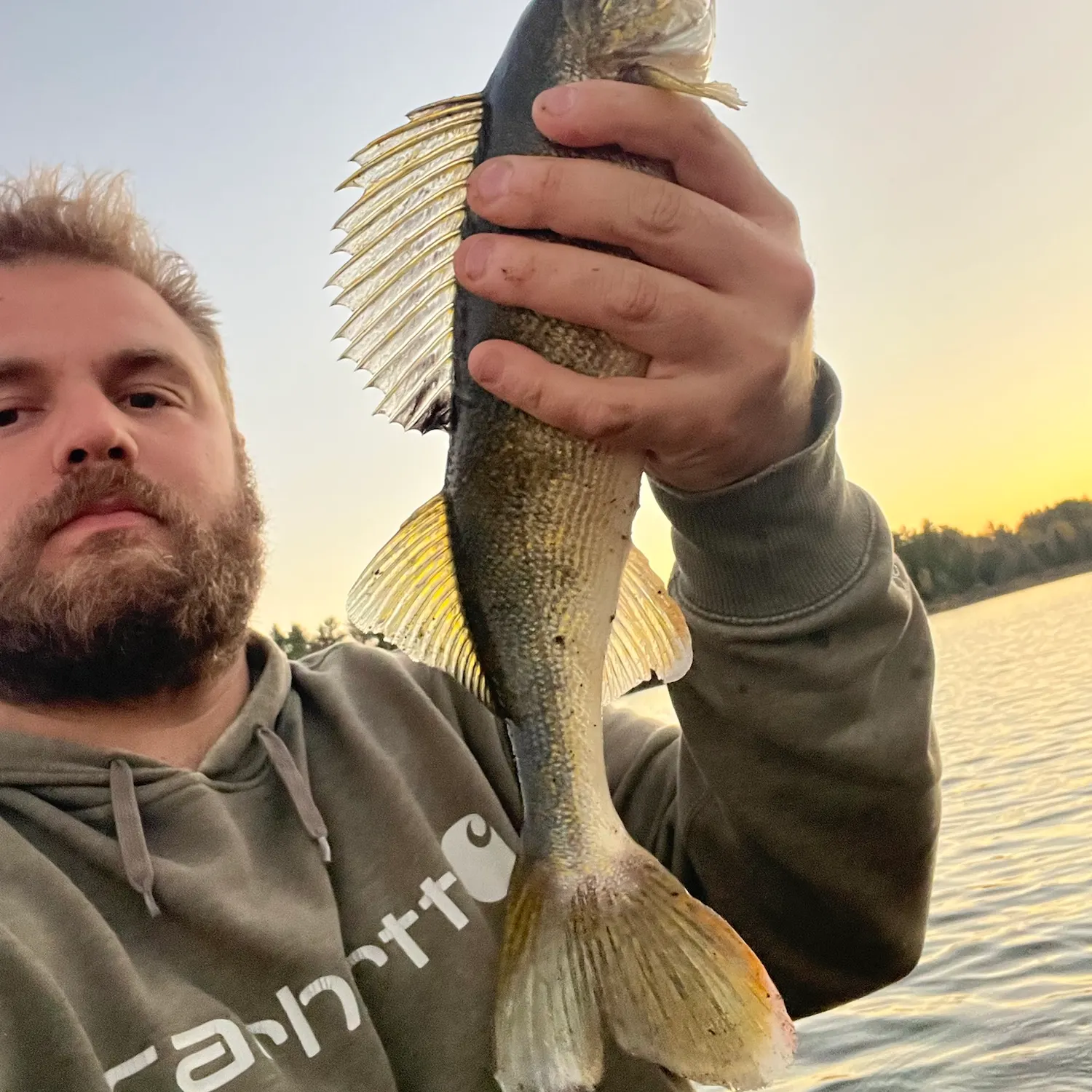 Walleye caught on Fishbrain