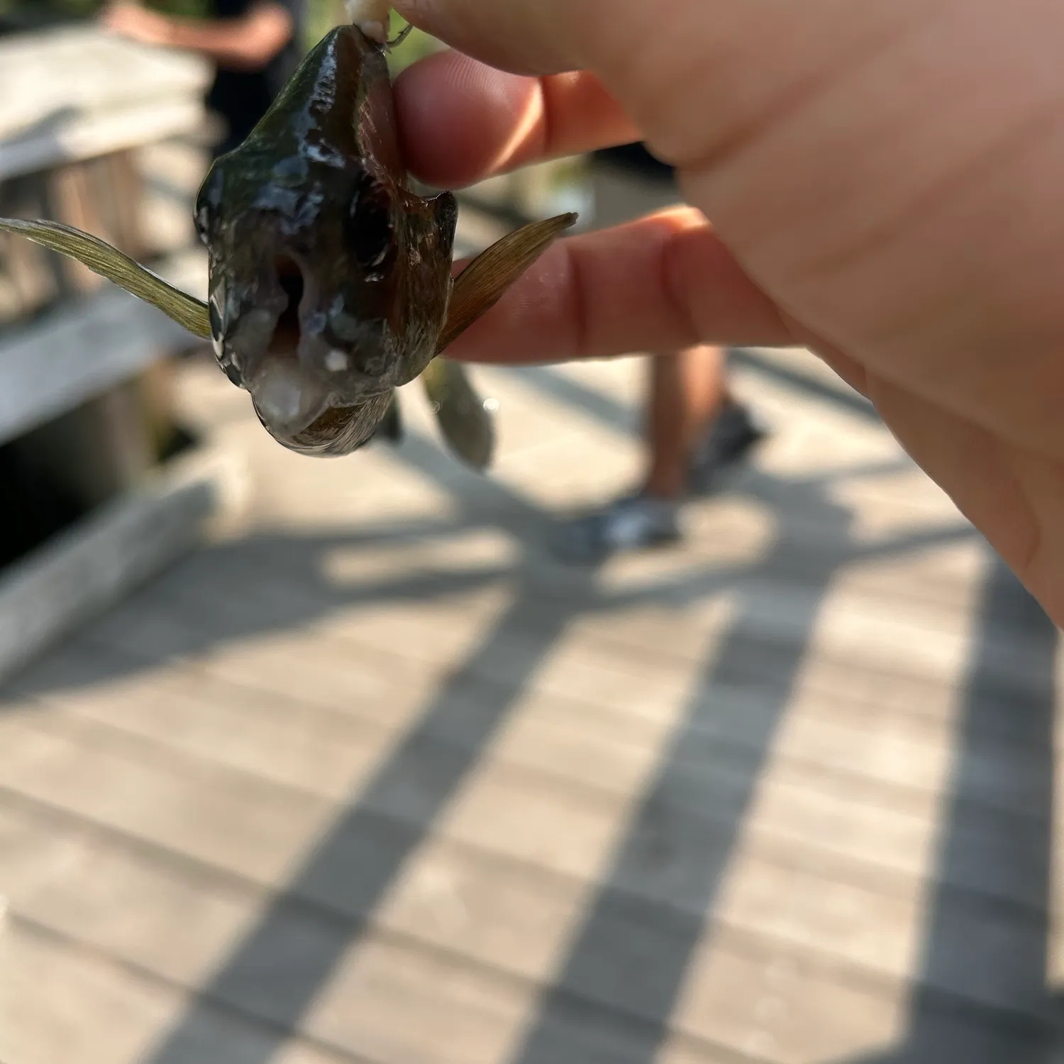 catch