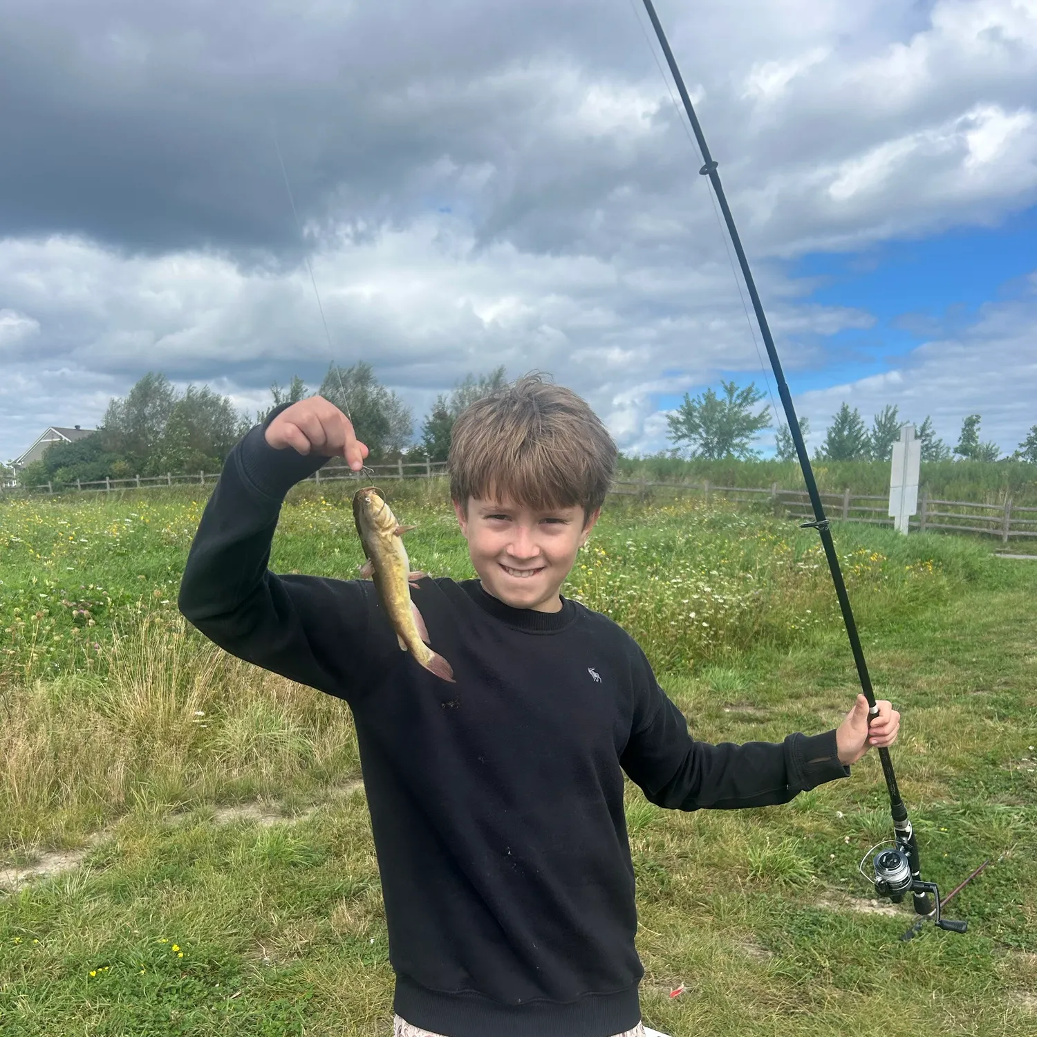 Yellow bullhead caught on Fishbrain