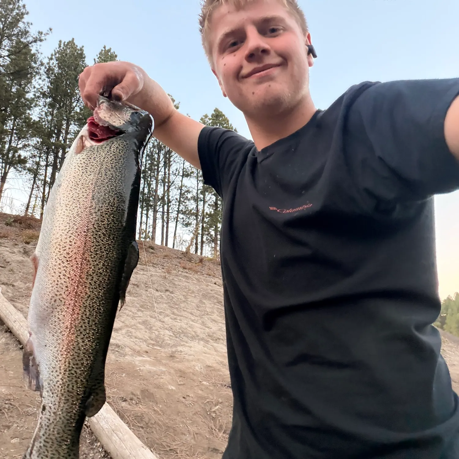 Rainbow trout caught on Fishbrain