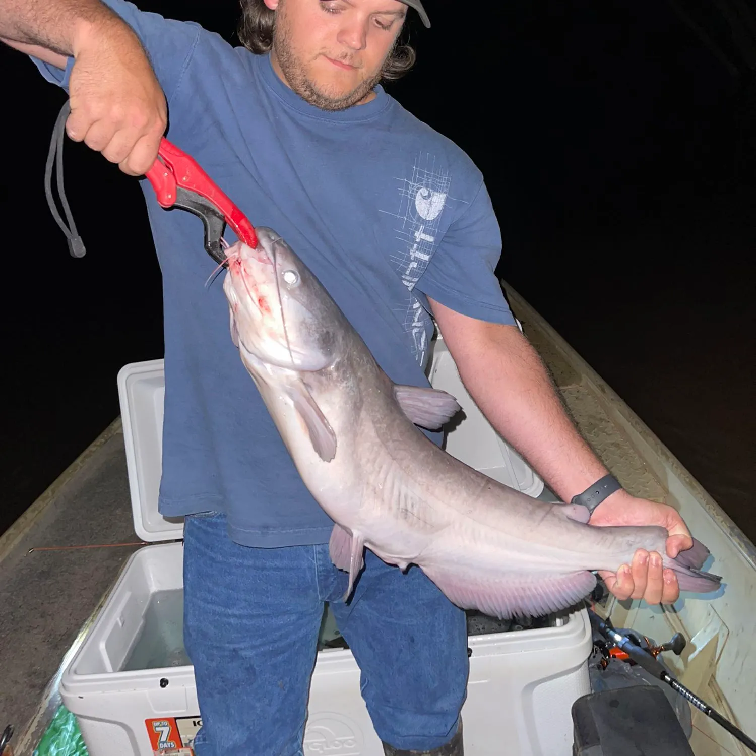 recently logged catches