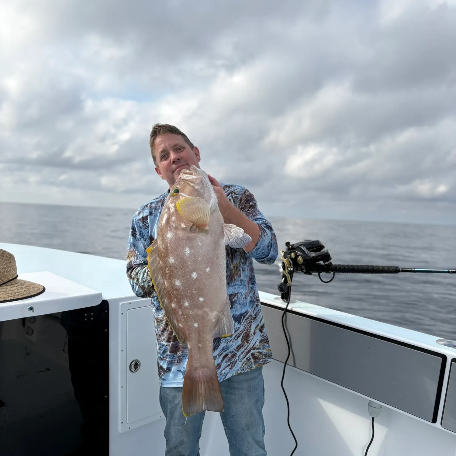 The most recent Yellowedge grouper catches on Fishbrain