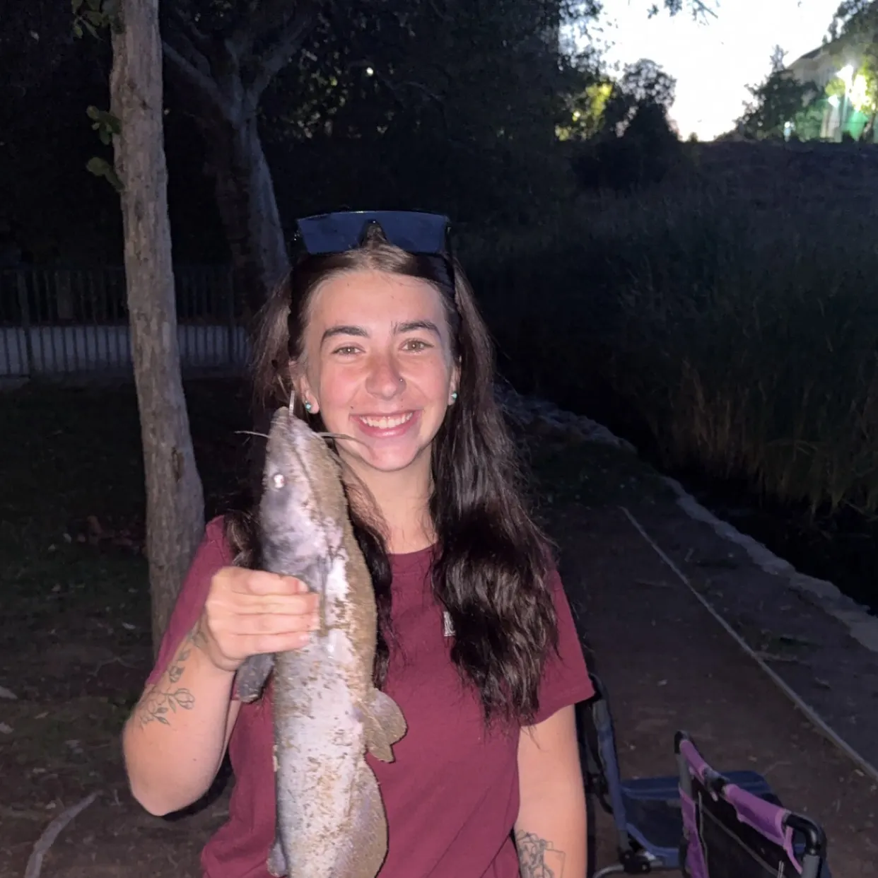 Channel catfish caught on Fishbrain