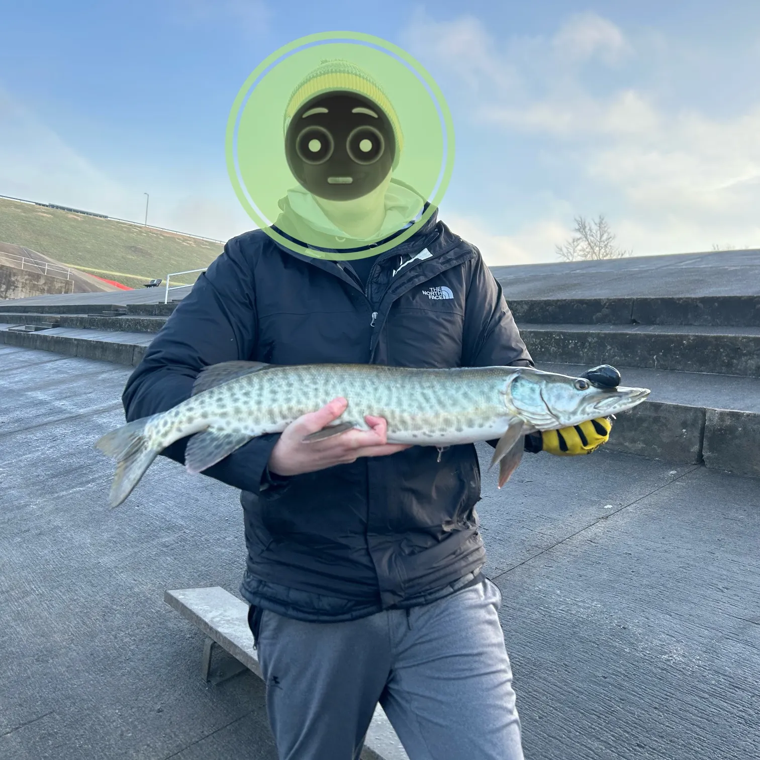 The most recent Muskellunge catches on Fishbrain