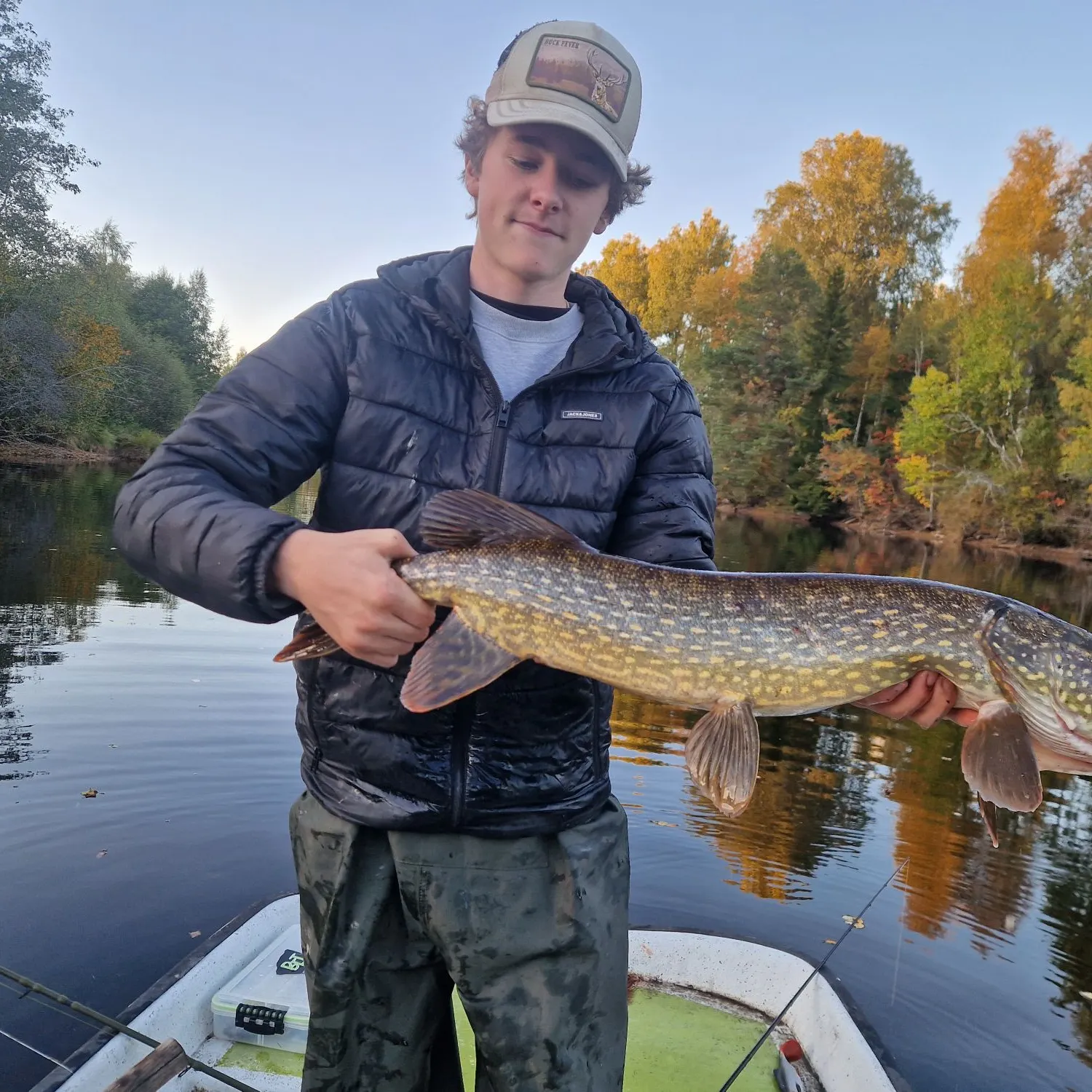 Northern pike caught on Fishbrain