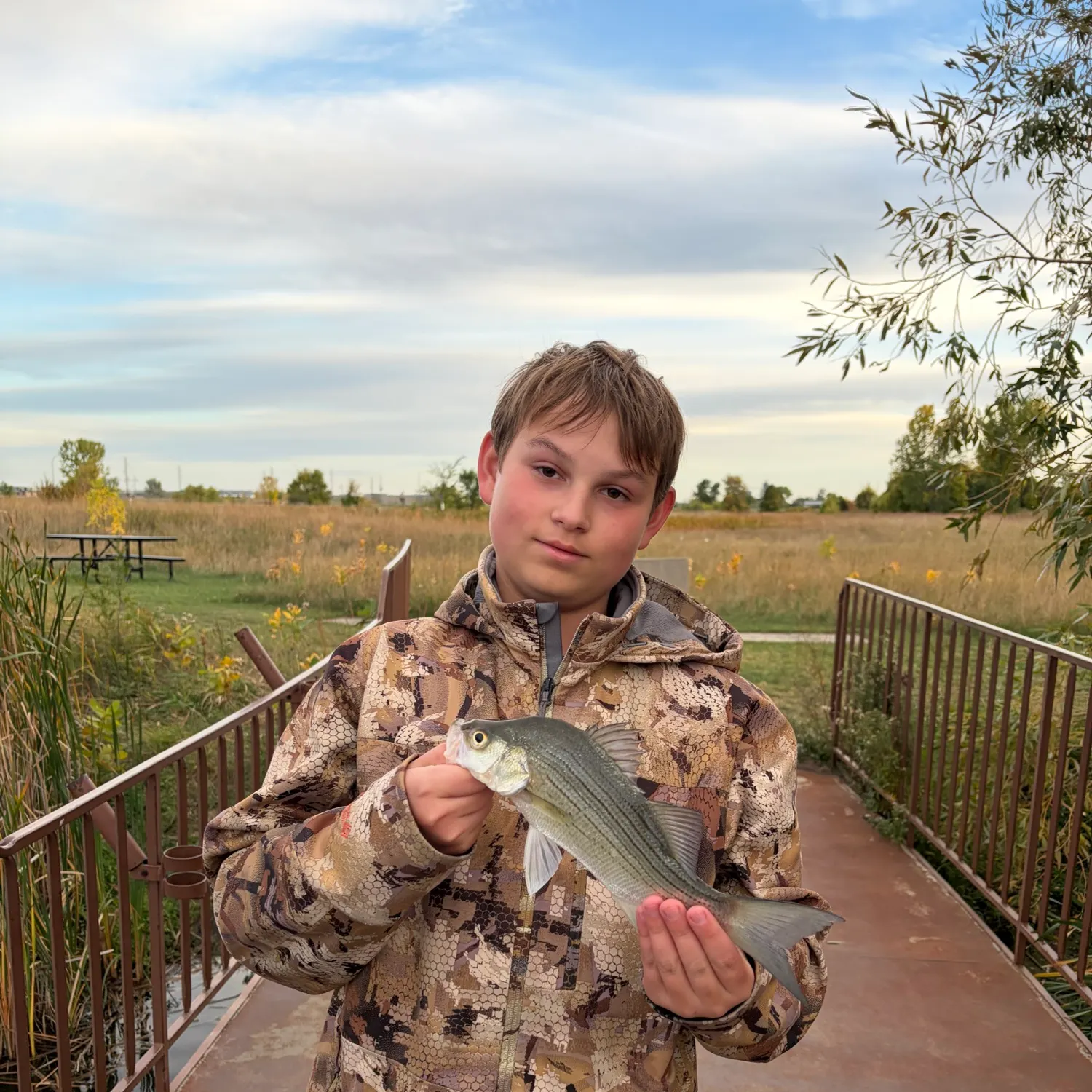 White bass caught on Fishbrain