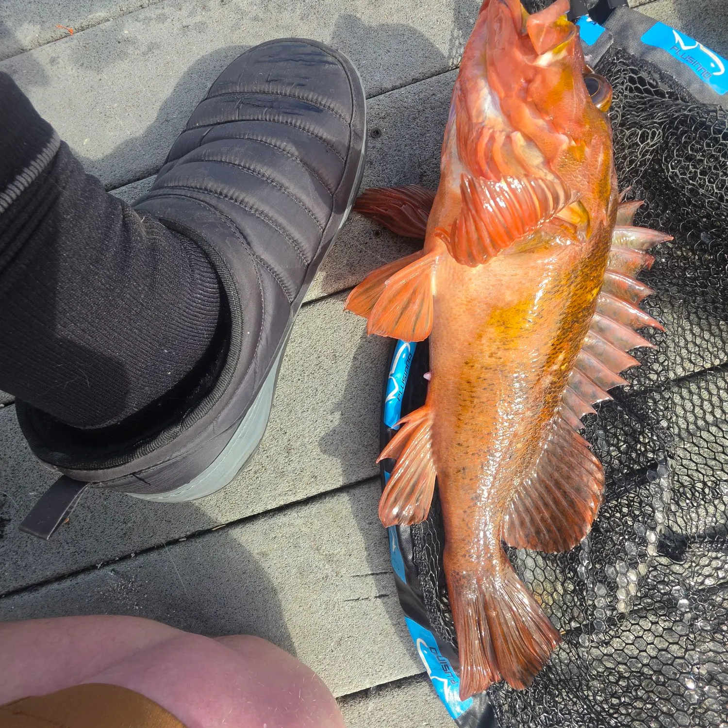 catch