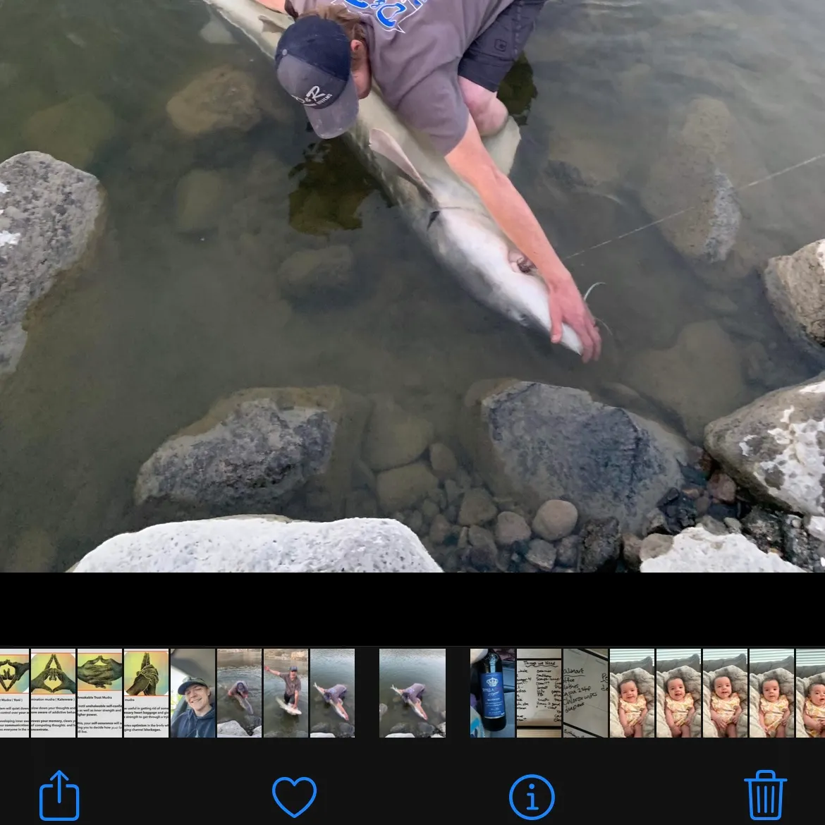 recently logged catches