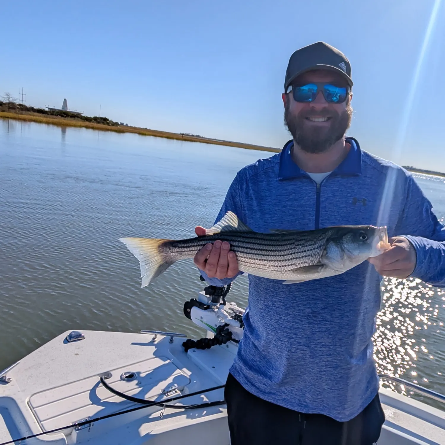 Striped bass caught on Fishbrain