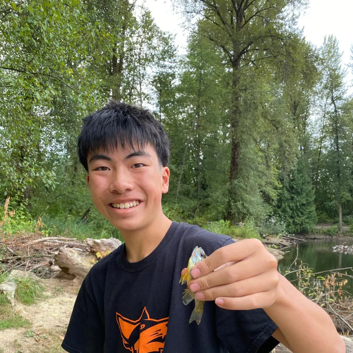 Pumpkinseed caught on Fishbrain