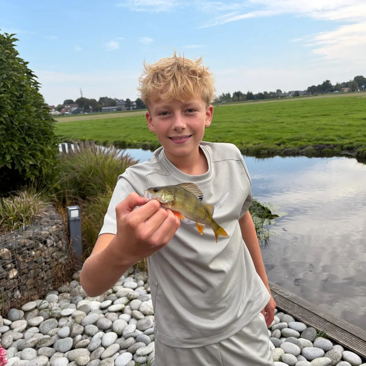 European perch caught on Fishbrain