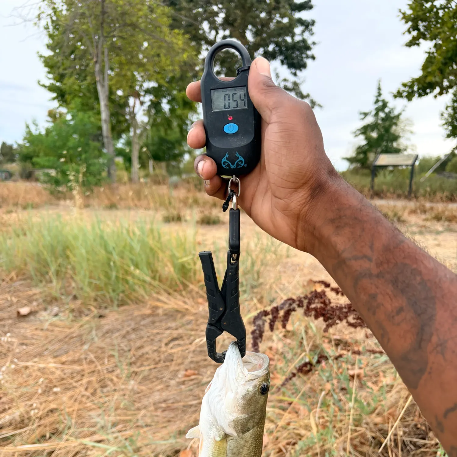 Spotted bass caught on Fishbrain