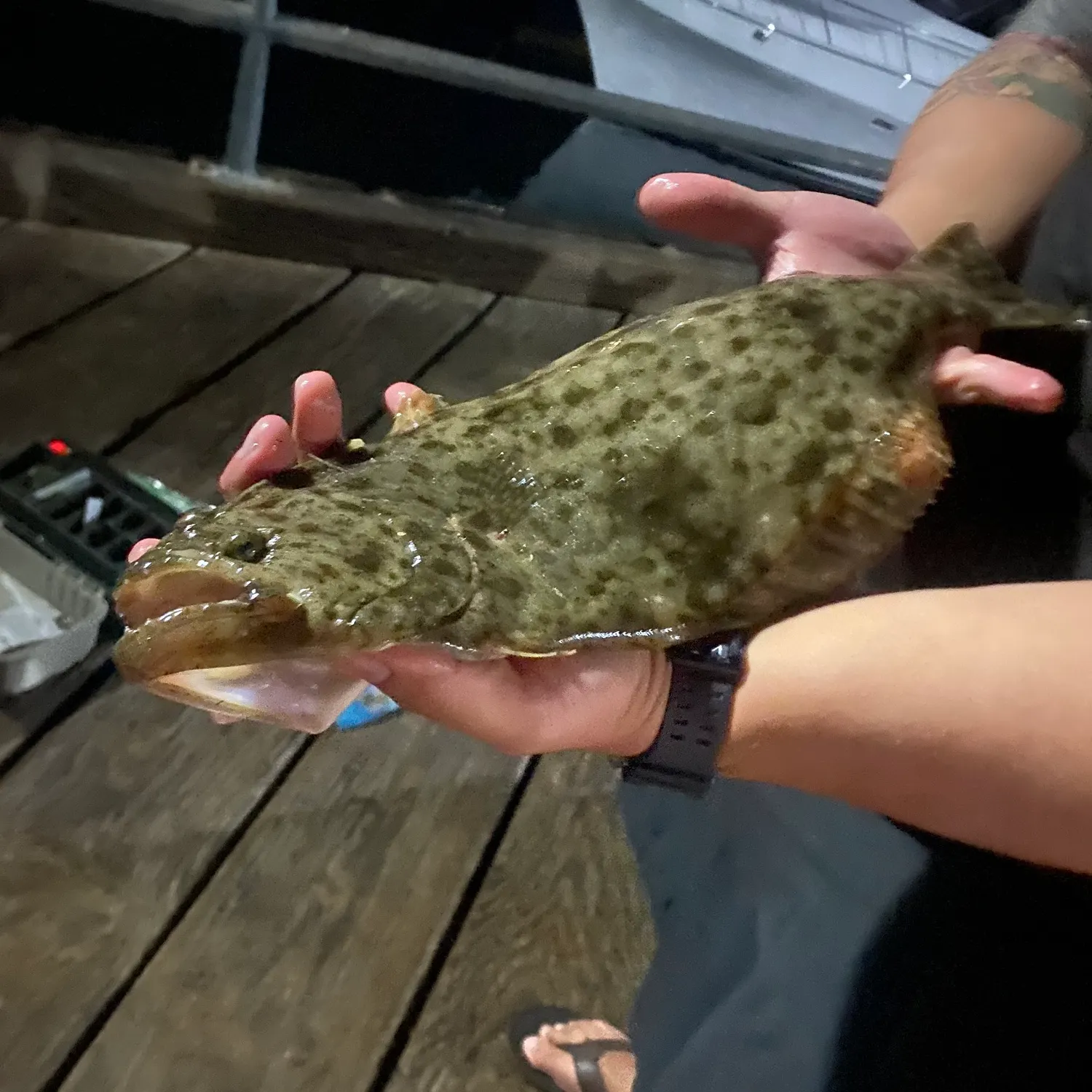 recently logged catches