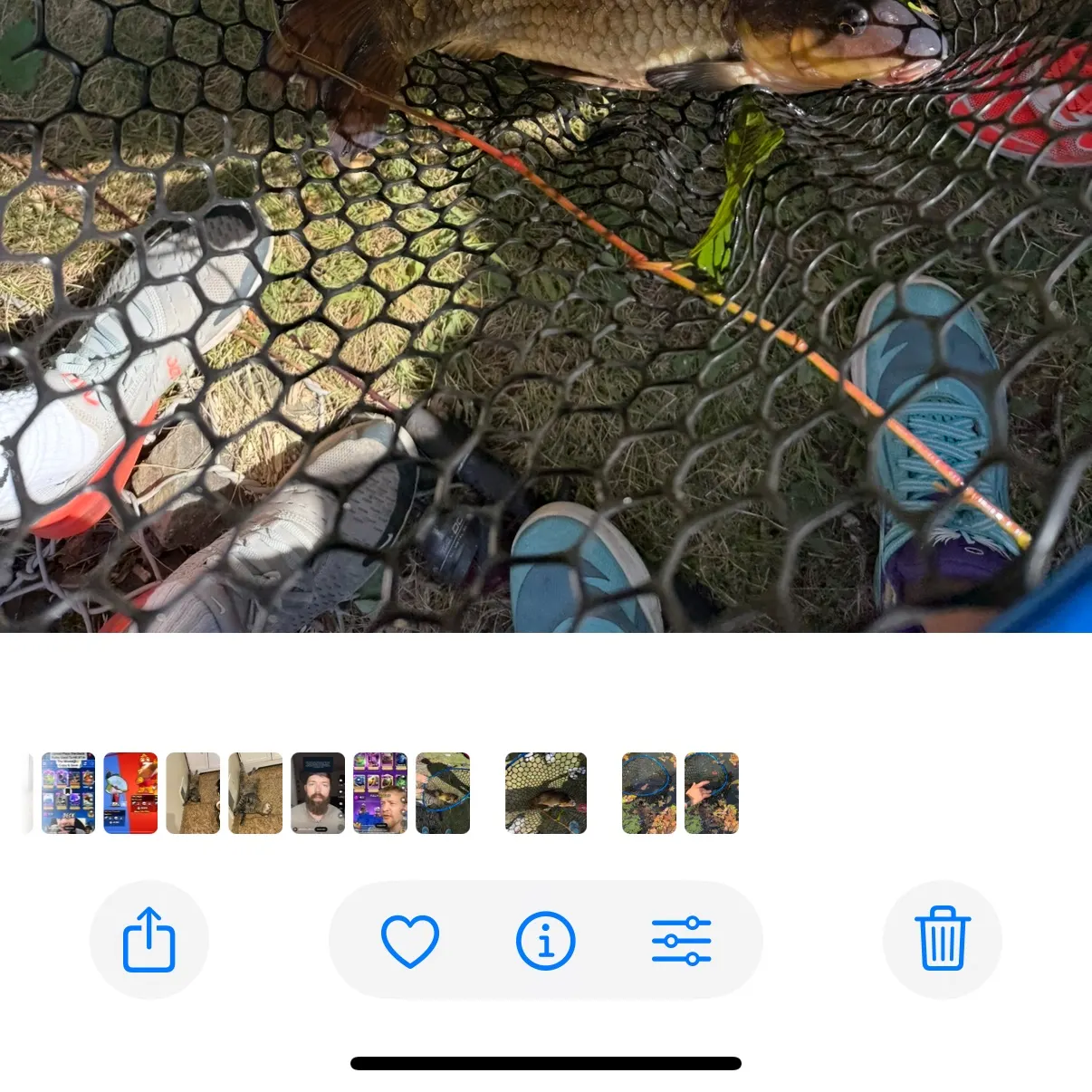 recently logged catches