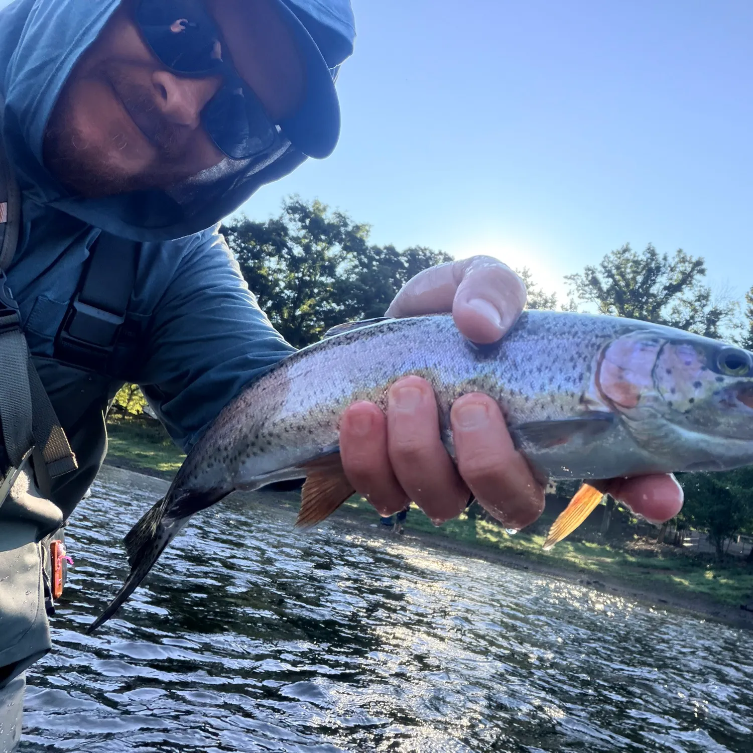 Rainbow trout caught on Fishbrain