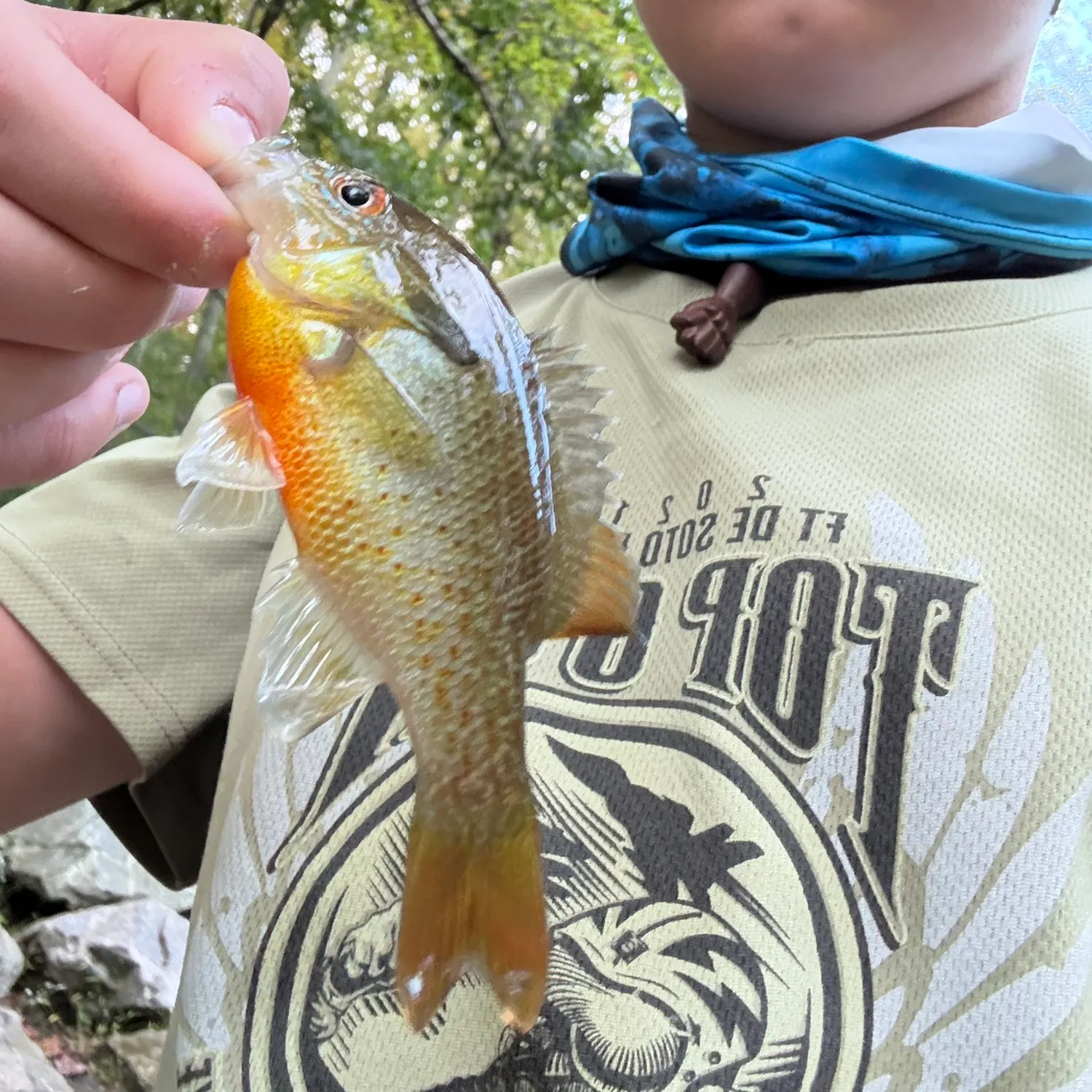 Redbreast sunfish caught on Fishbrain